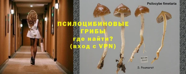 твердый Иннополис