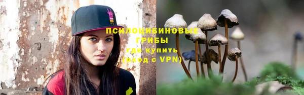 твердый Иннополис