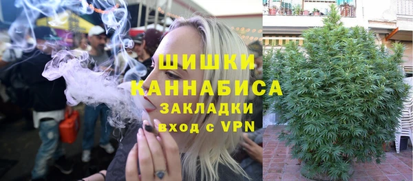 мет Инта