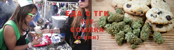 СК Каменногорск