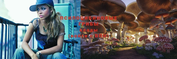 прущая мука Каменск-Шахтинский