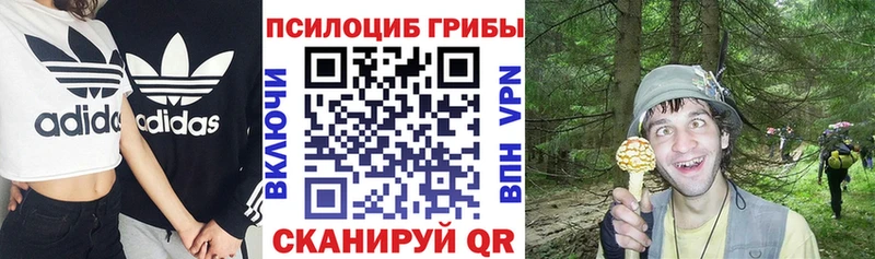Псилоцибиновые грибы Magic Shrooms  Камень-на-Оби 