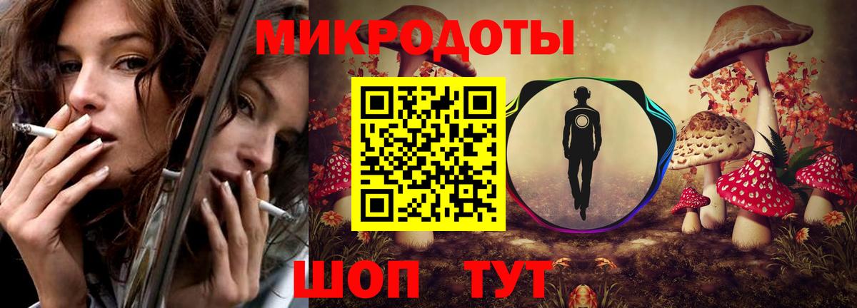 Псилоцибиновые грибы прущие грибы Камень-на-Оби